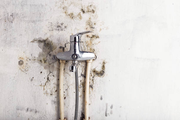 Best HVAC Mold Remediation in Woodlake, VA
