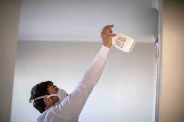 Best Commercial Mold Remediation in Woodlake, VA