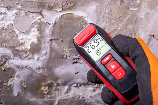 Best Bathroom Mold Remediation in Woodlake, VA