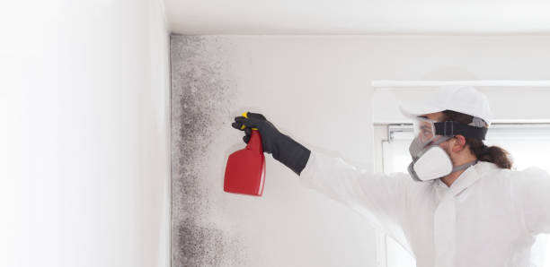 Woodlake, VA Mold Remediation Company